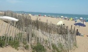 Restaurant Chez Milou Serignan plage accés à la mediterranée par des sentiers à travers les dunes